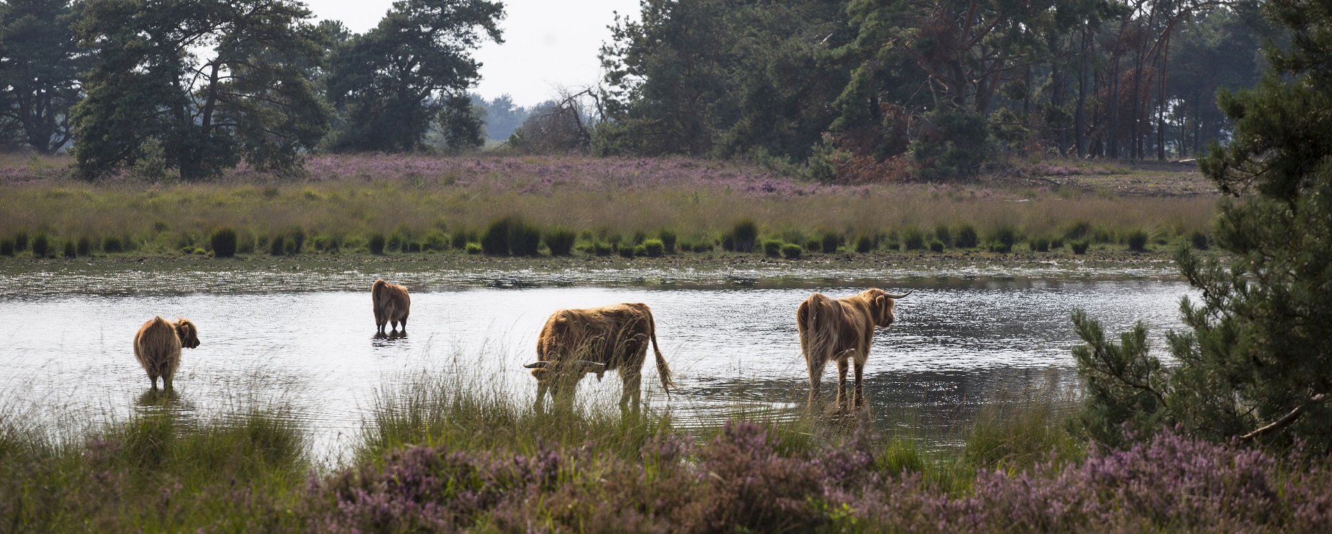 Fietsroutes Noord-Brabant