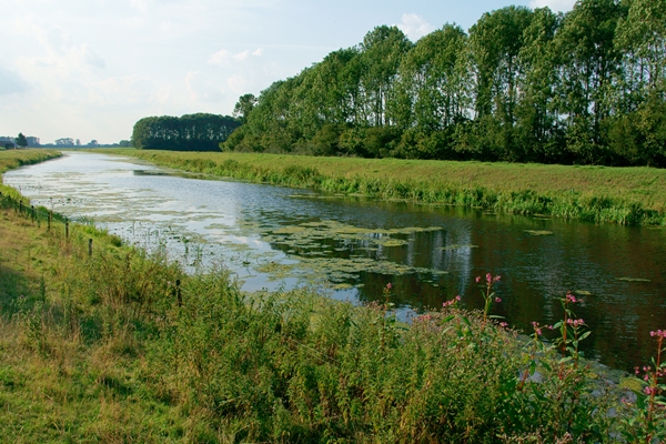 Kips en Ribs 't Hoekse Hout in Bergschenhoek