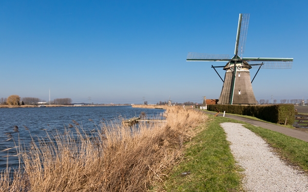 Kips en Ribs 't Hoekse Hout in Bergschenhoek